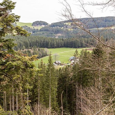 Ferienappartement Sonnenhof Triberg im Schwarzwald Exterior foto